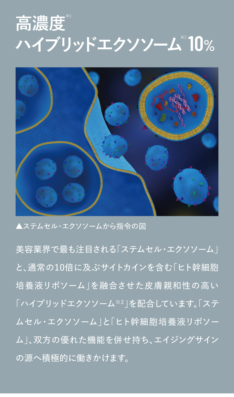 通販】CLIGRAM（カリグラム）VITAL EV 30mL ｜ Kiyohara Skin